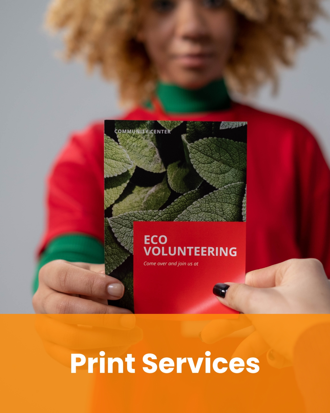 Printed marketing materials produced by IOM Web Design